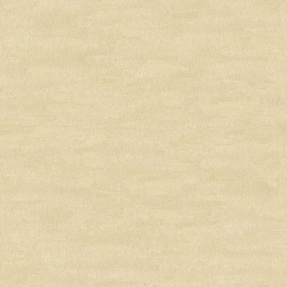 Focus - focus_001
