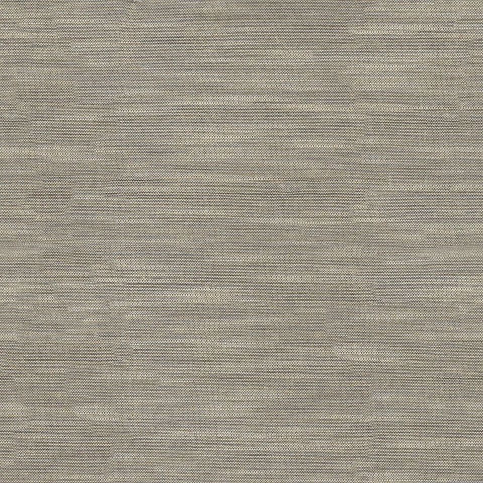 Tetra - tetra_001