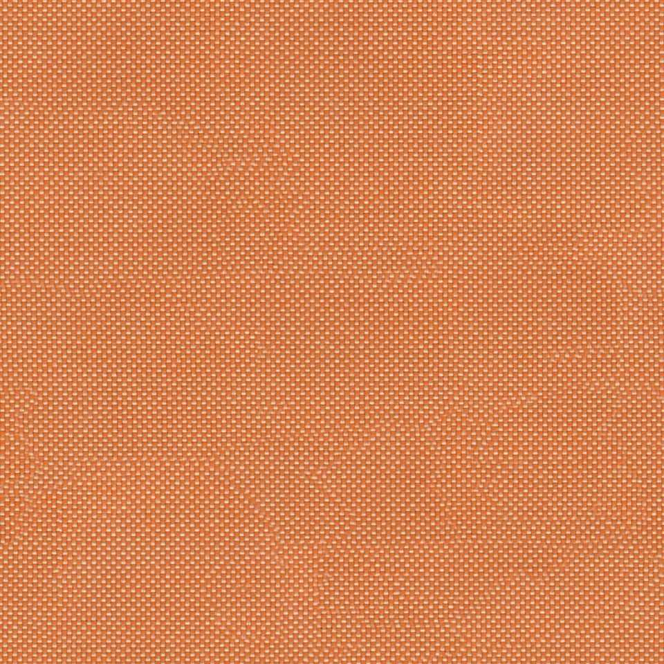 Nario - nario_001