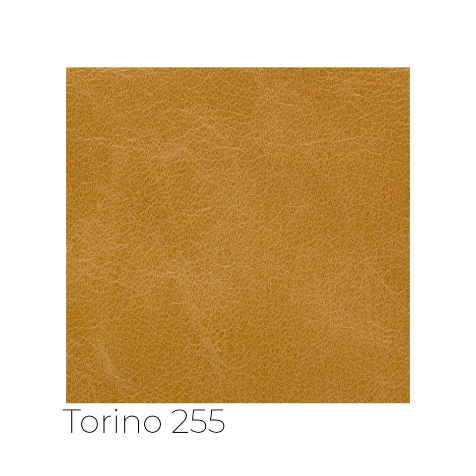 Torino - tor_001