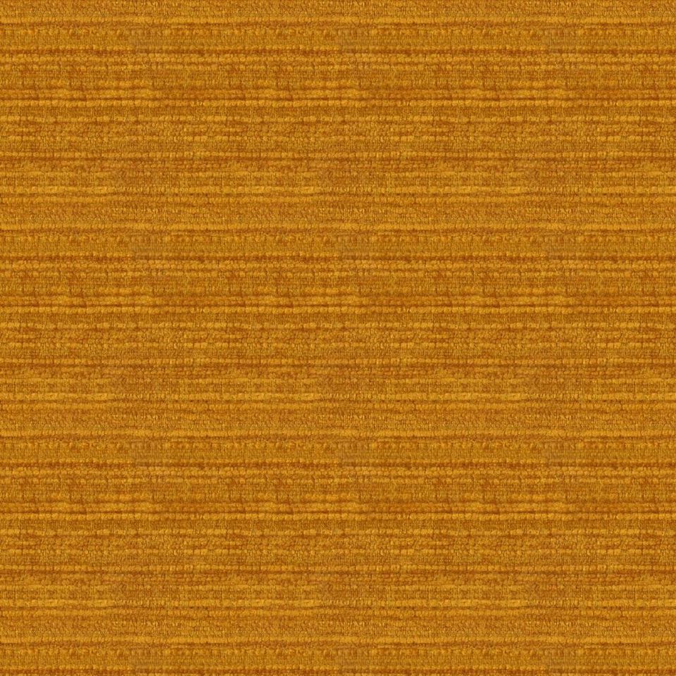 Kunter - kunter_001