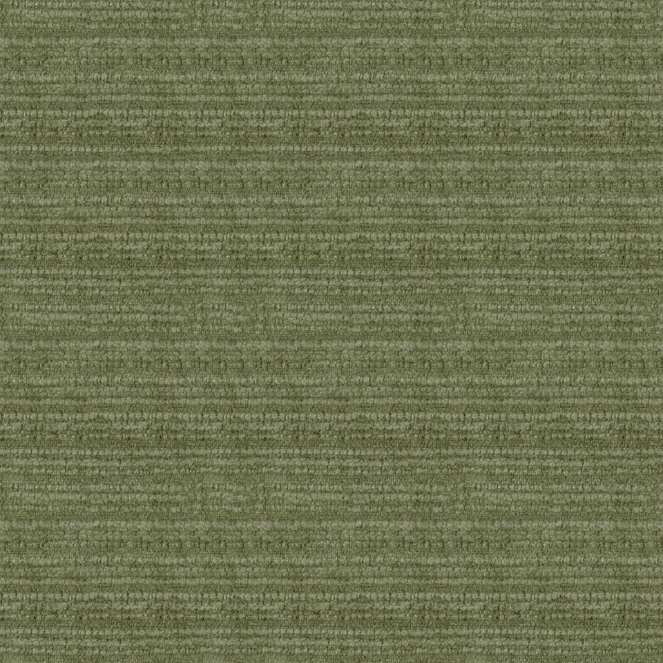 Kunter - kunter_001