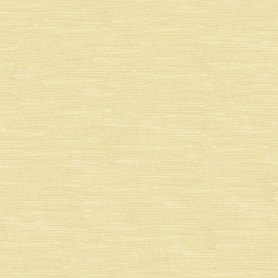 Lemon - lm_001
