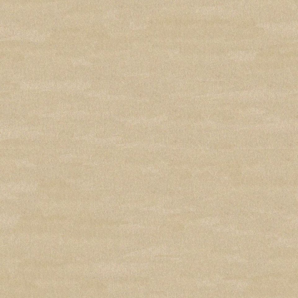 Focus - focus_001