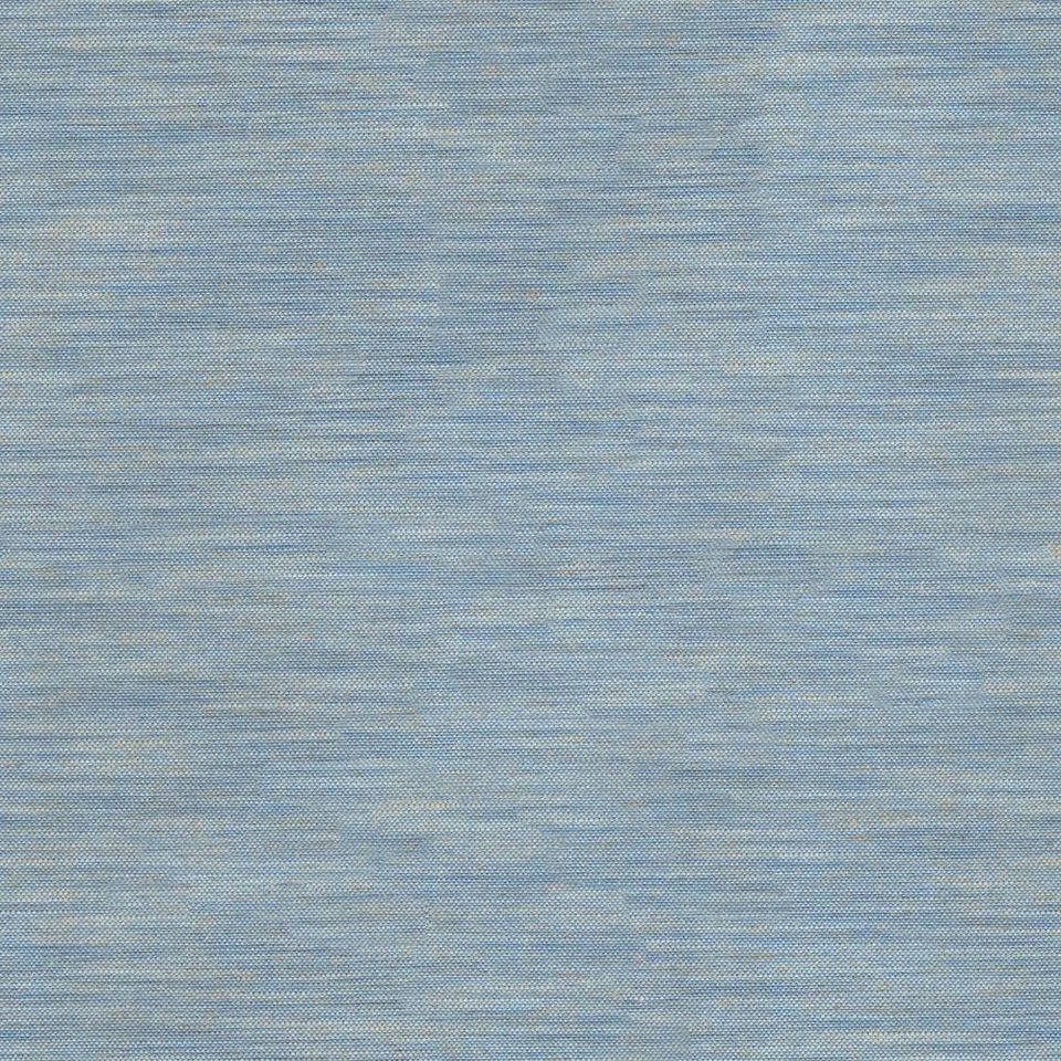 Tetra - tetra_001