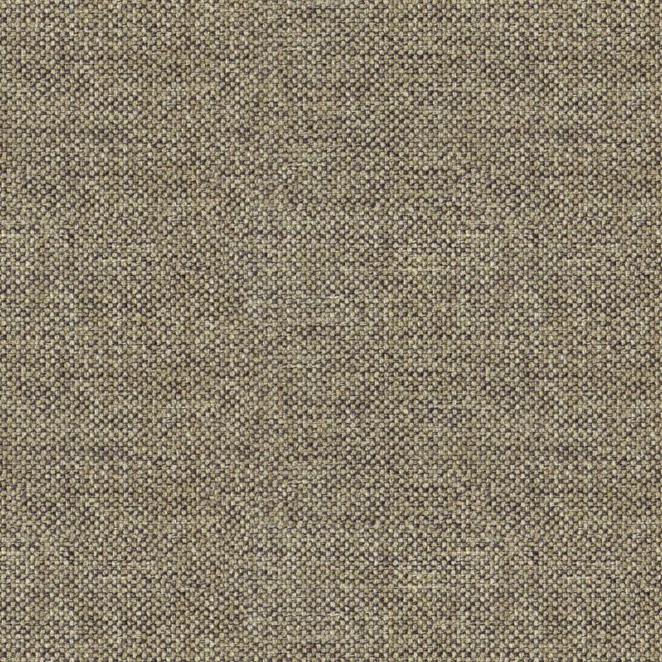Loop - loop_001