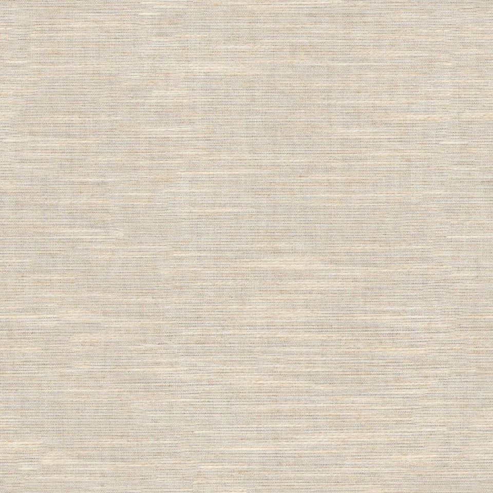 Tetra - tetra_001