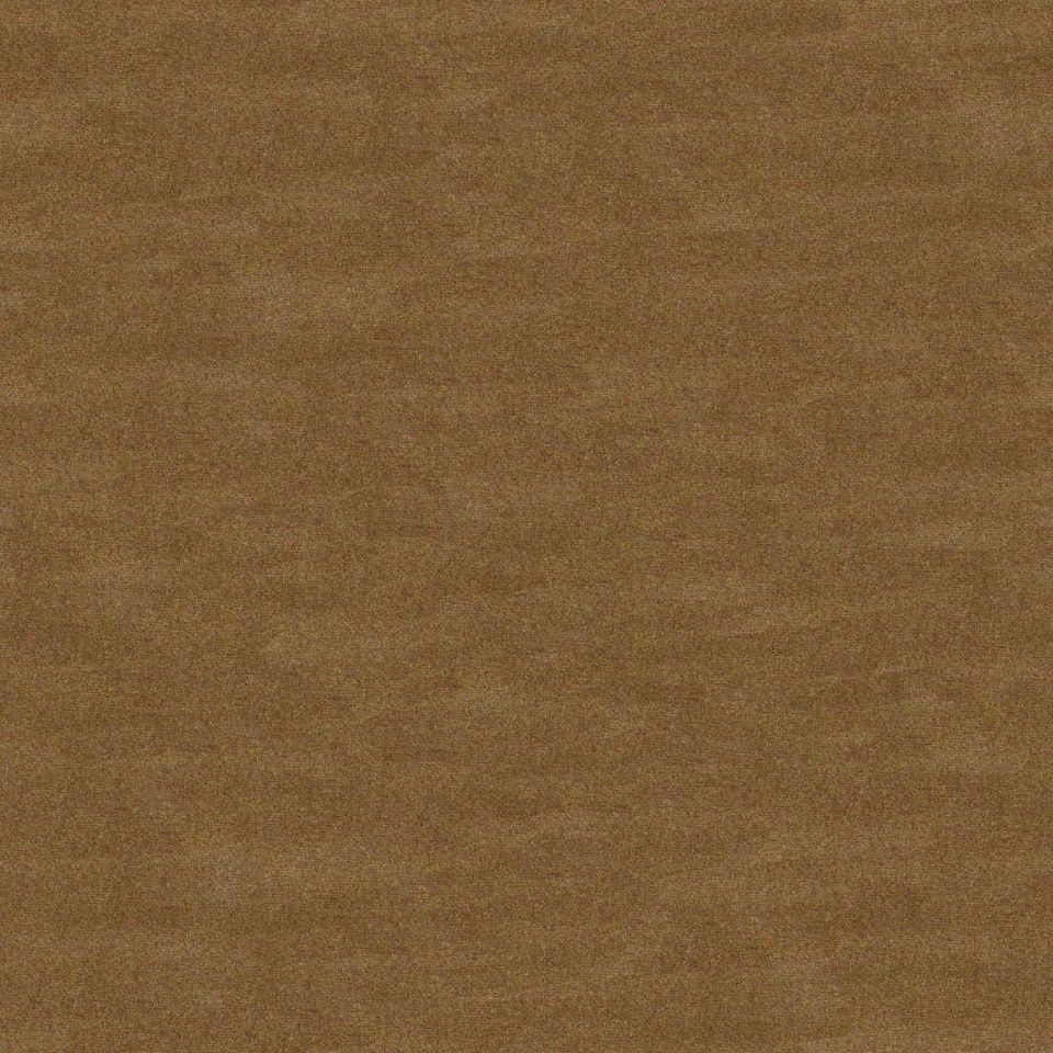 Focus - focus_001