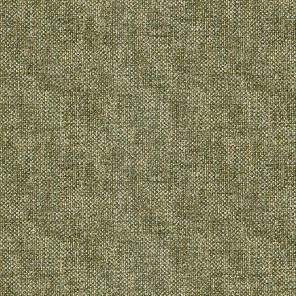 Loop - loop_001