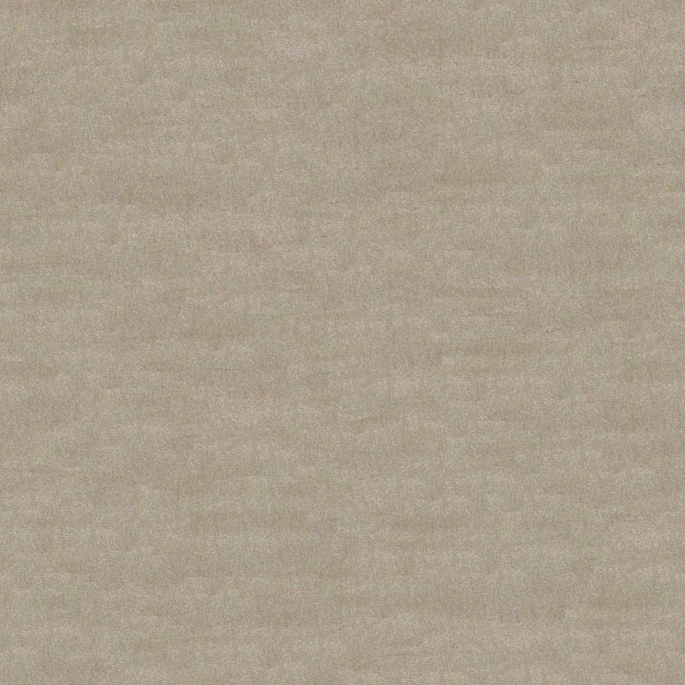 Focus - focus_001