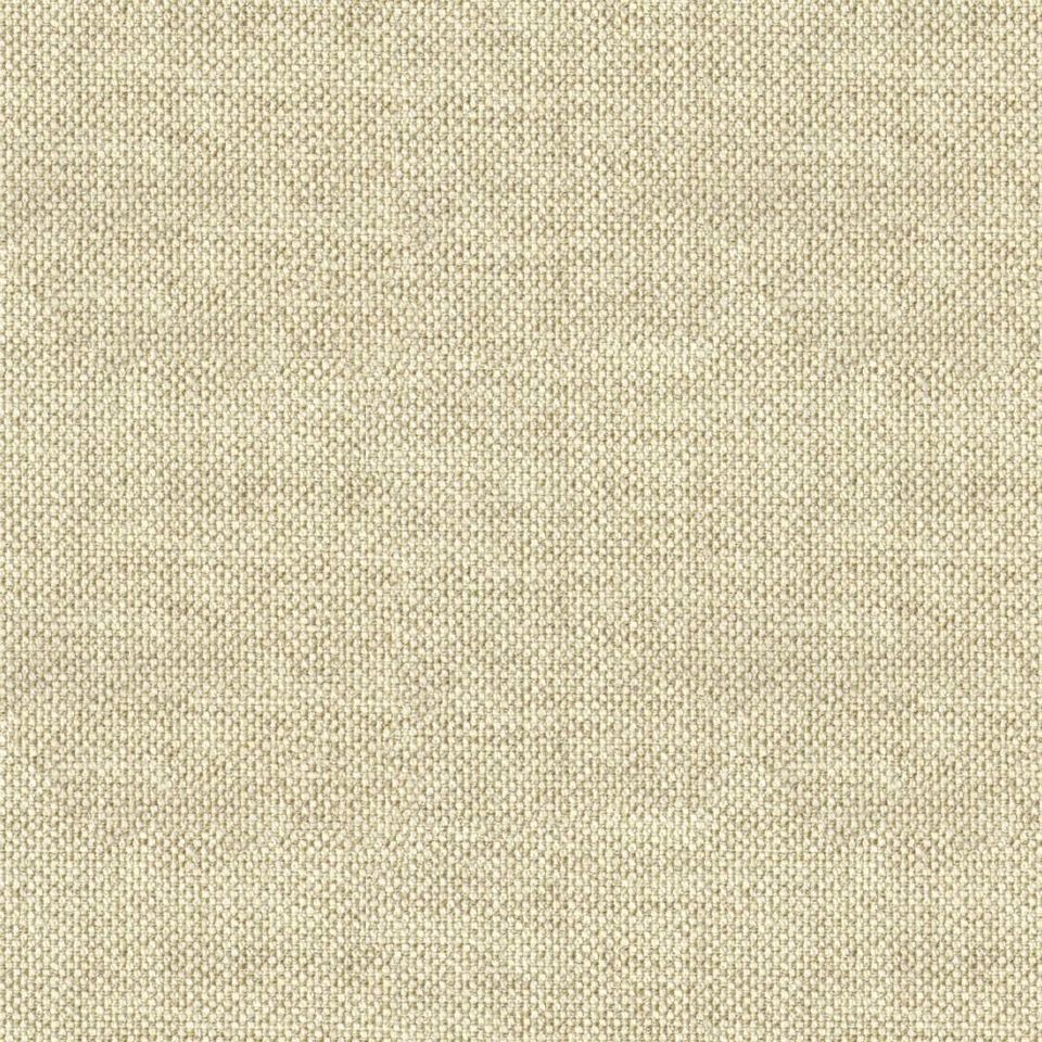 Loop - loop_001