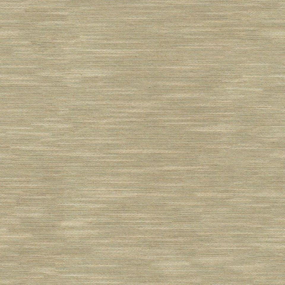 Tetra - tetra_001
