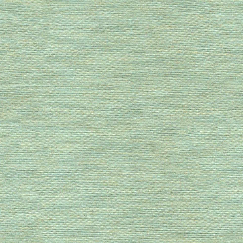 Tetra - tetra_001