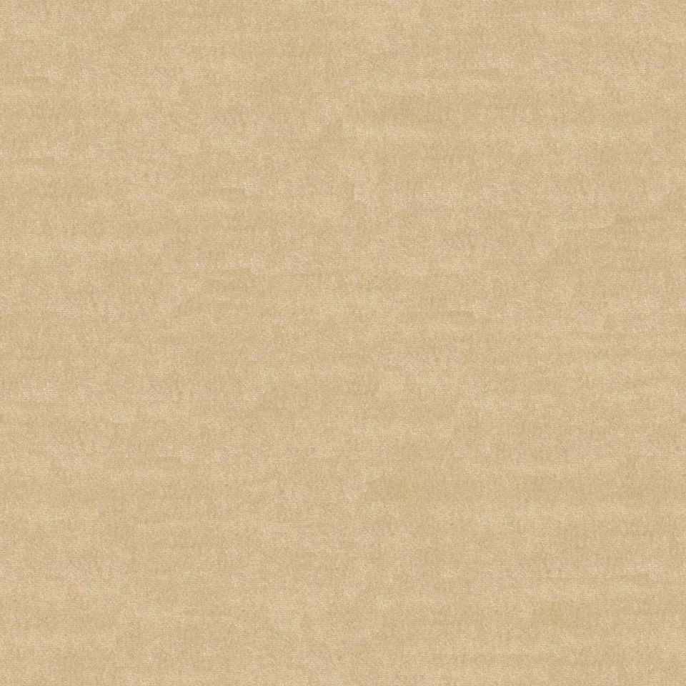 Focus - focus_001
