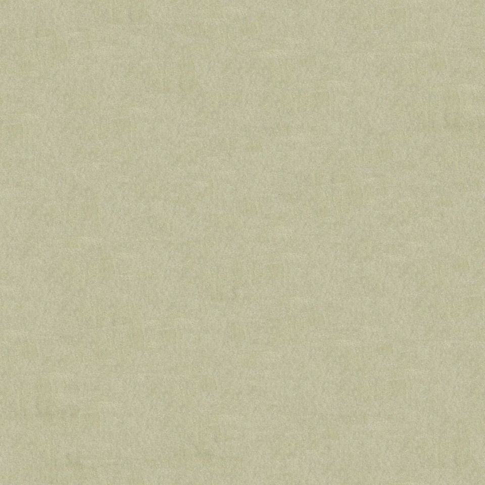 Focus - focus_001