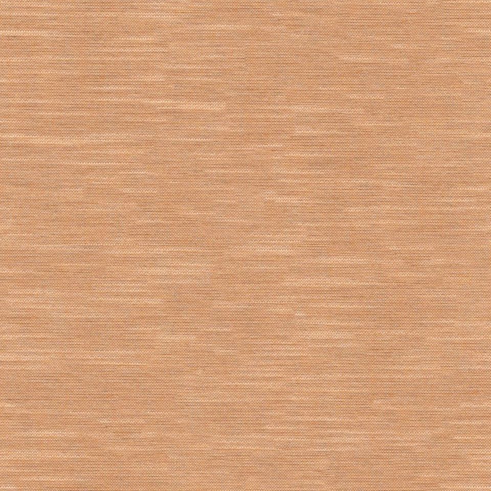 Tetra - tetra_001