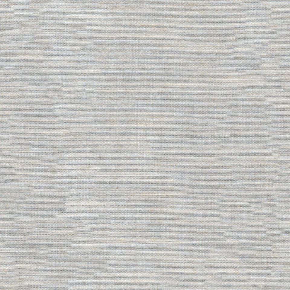 Tetra - tetra_001