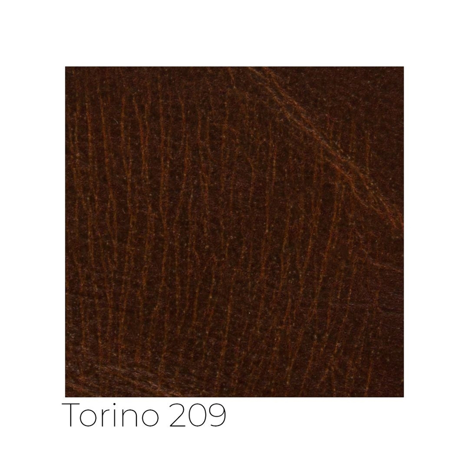 Torino - tor_001