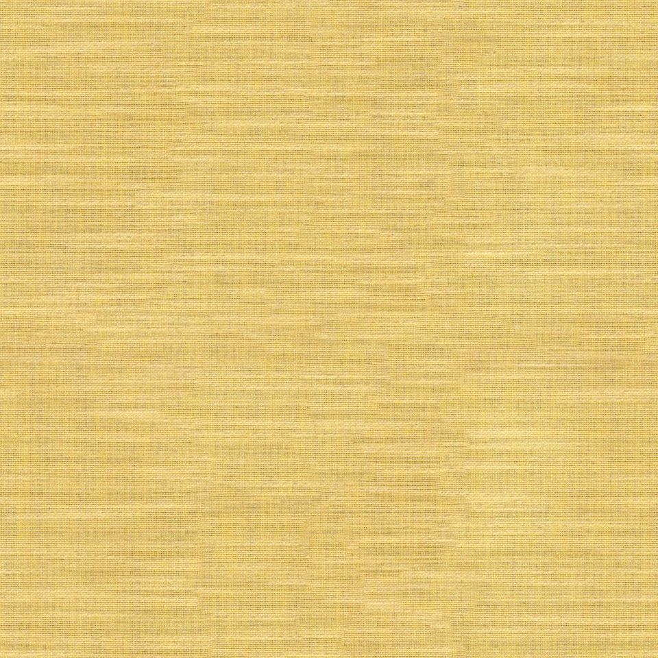 Tetra - tetra_001