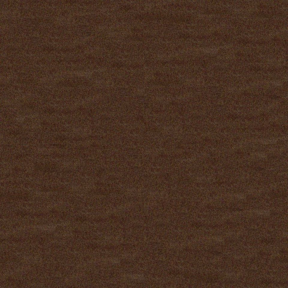 Focus - focus_001