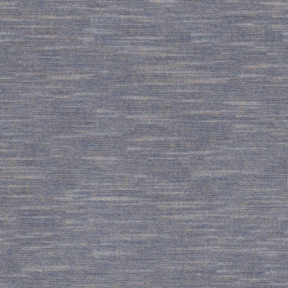 Tetra - tetra_001