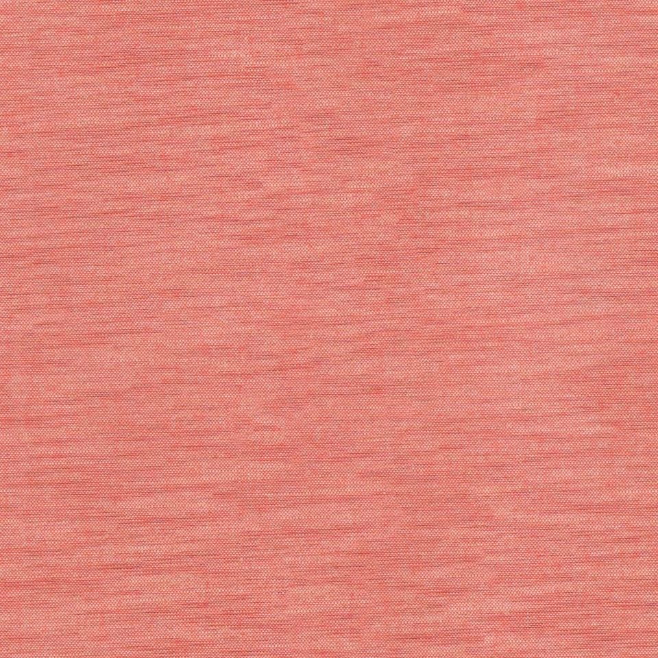 Tetra - tetra_001