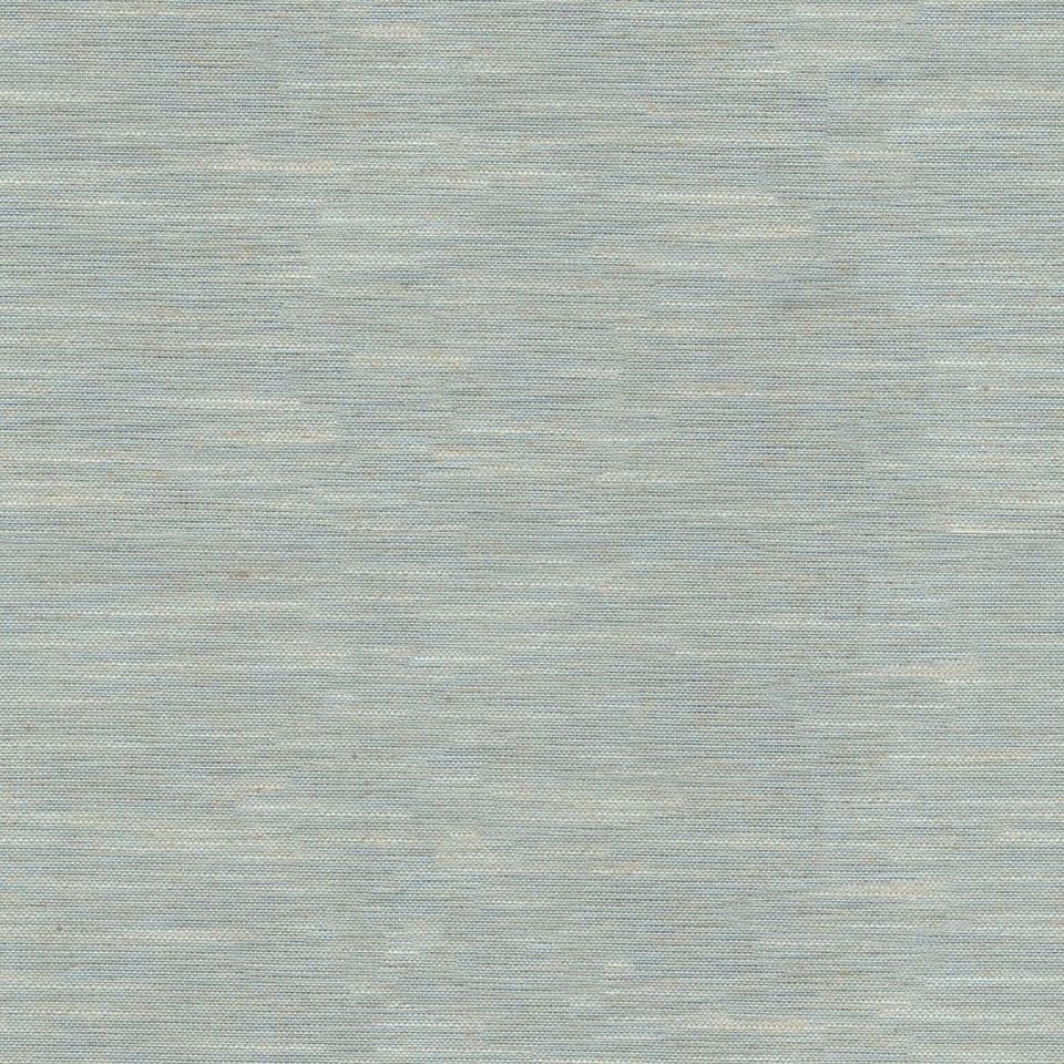 Tetra - tetra_001