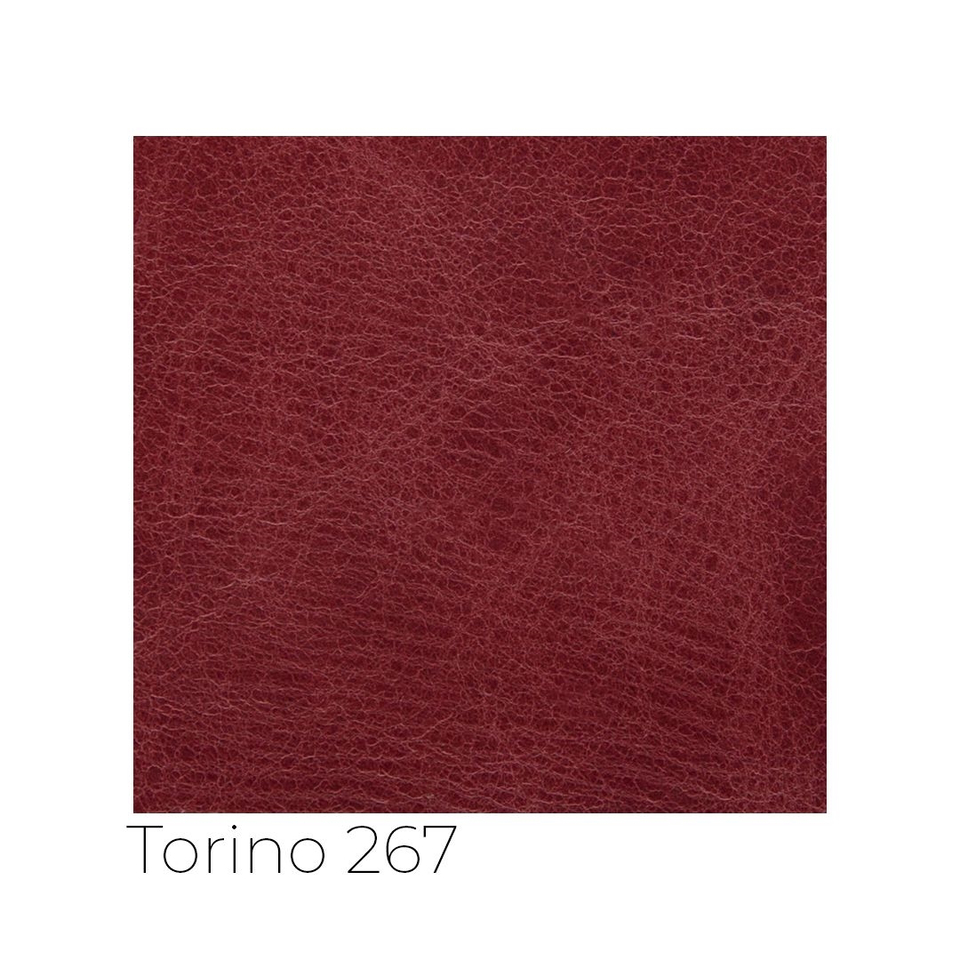 Torino - tor_001