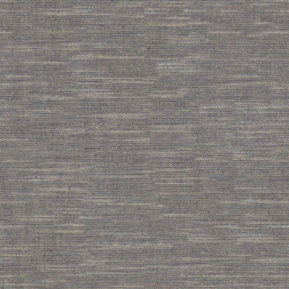 Tetra - tetra_001
