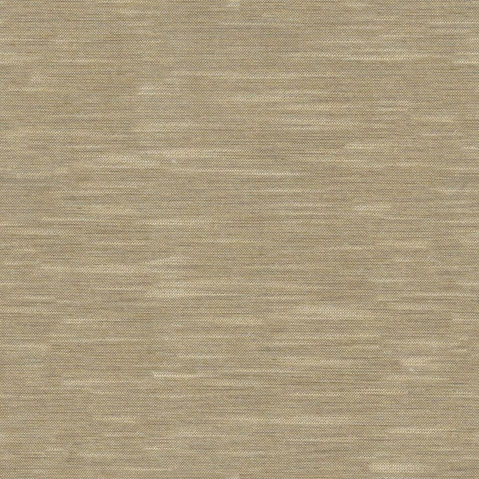Tetra - tetra_001