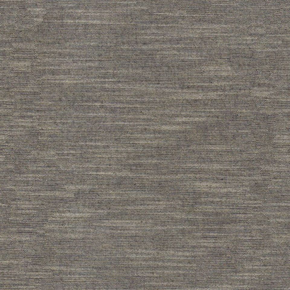 Tetra - tetra_001