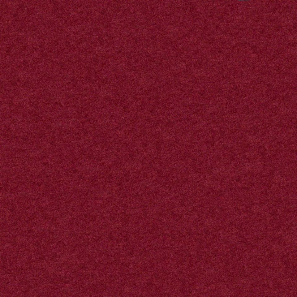 Focus - focus_001