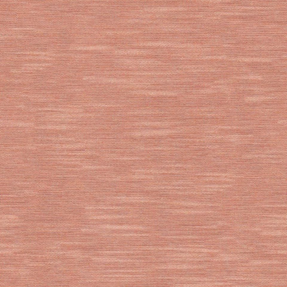 Tetra - tetra_001