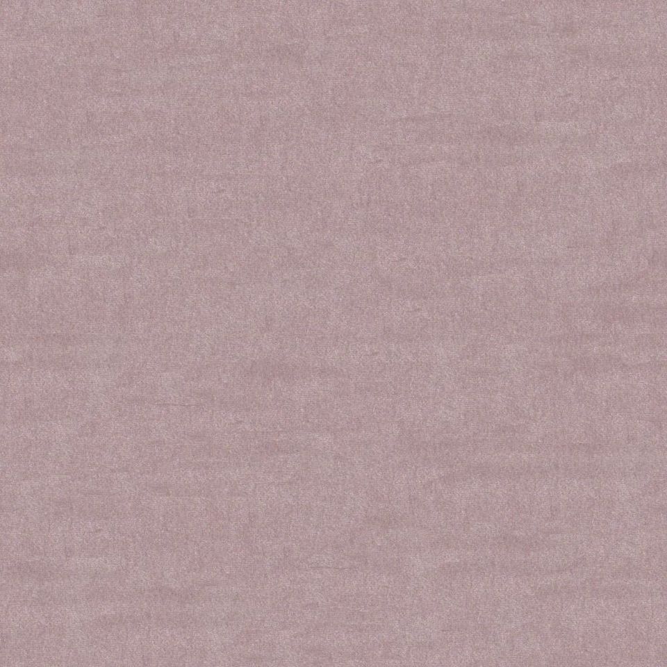 Focus - focus_001
