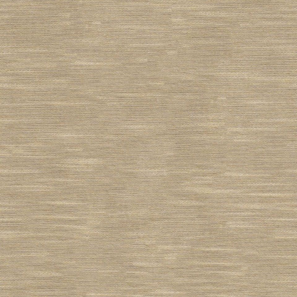 Tetra - tetra_001