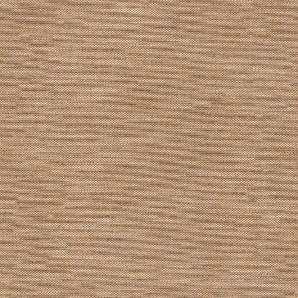 Tetra - tetra_001