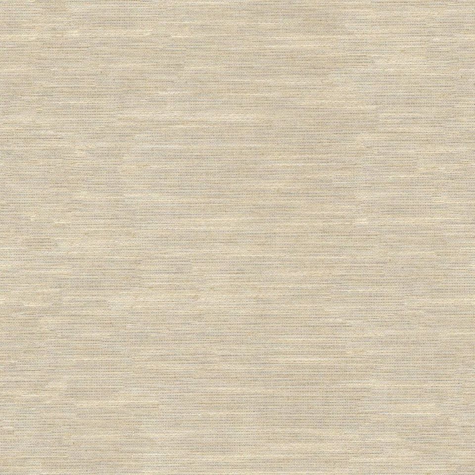 Tetra - tetra_001
