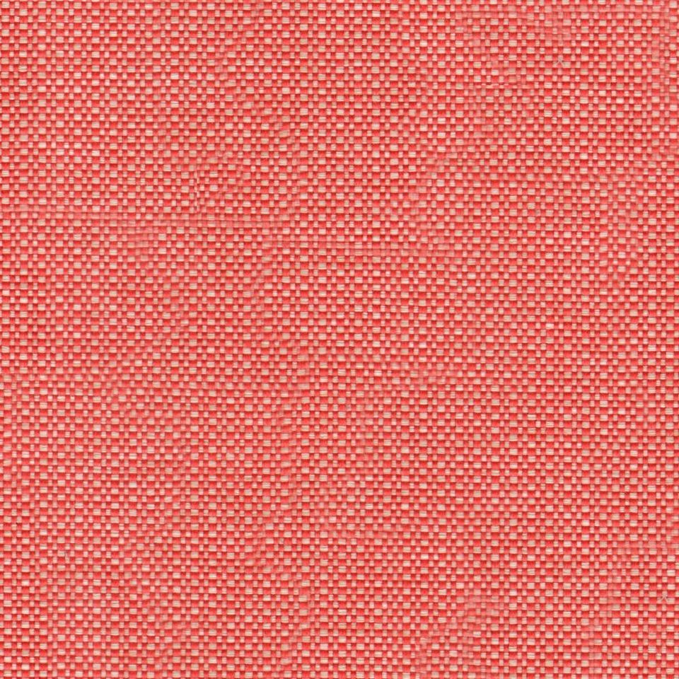 Telma - tlm_001