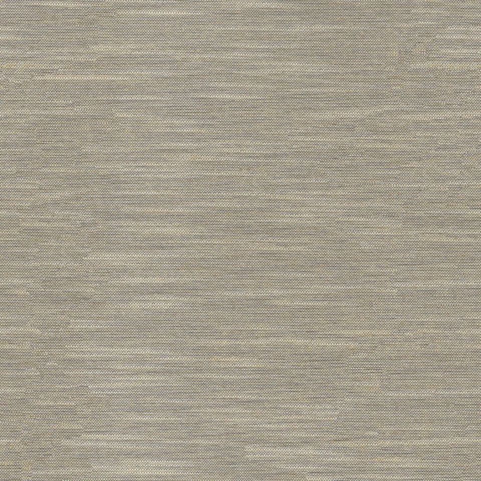 Tetra - tetra_001