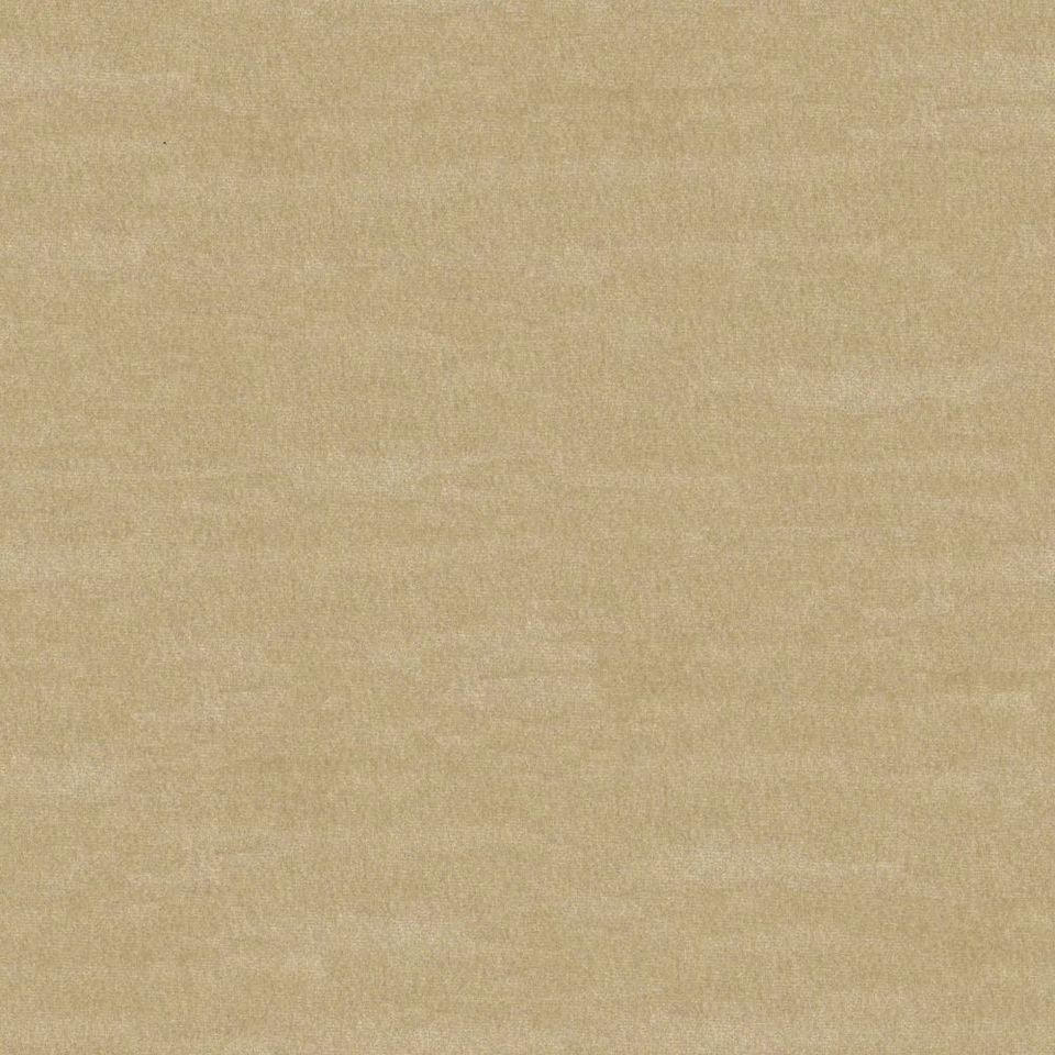 Focus - focus_001