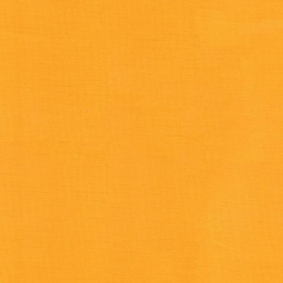 Tuyo - tuyo_001