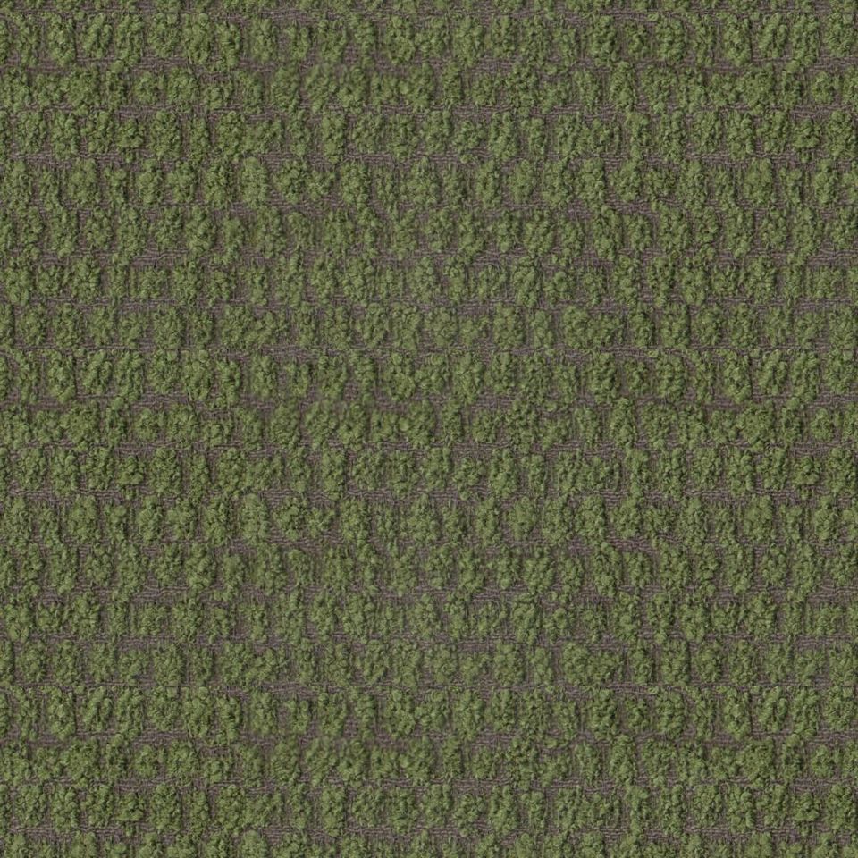 Myra - My_001