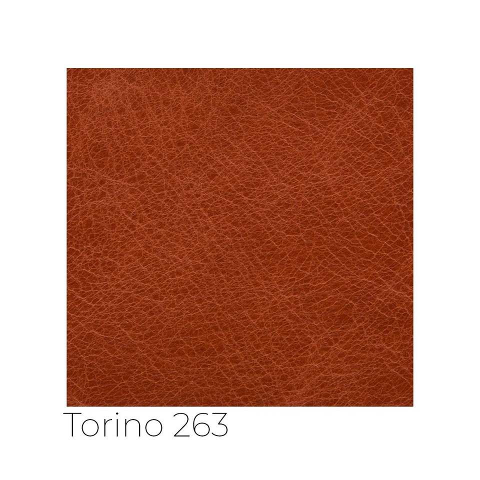 Torino - tor_001