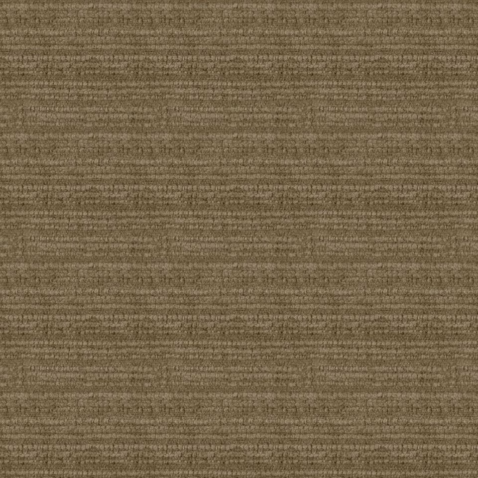 Kunter - kunter_001