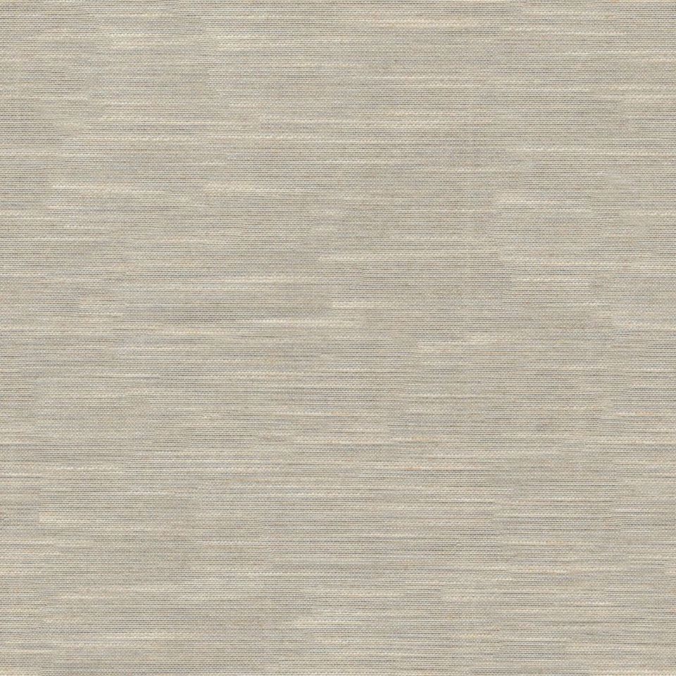 Tetra - tetra_001