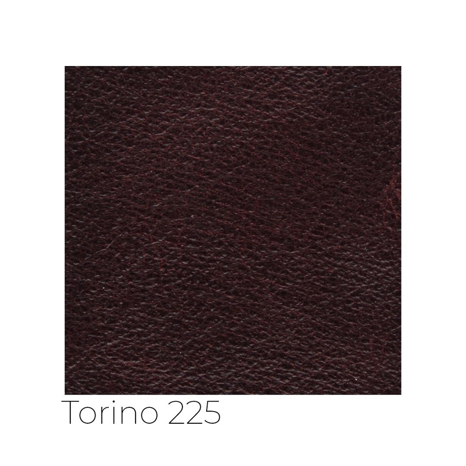 Torino - tor_001