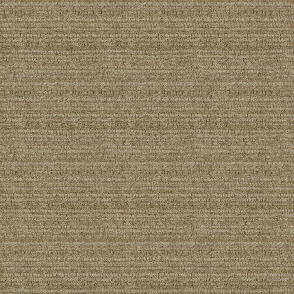 Kunter - kunter_001
