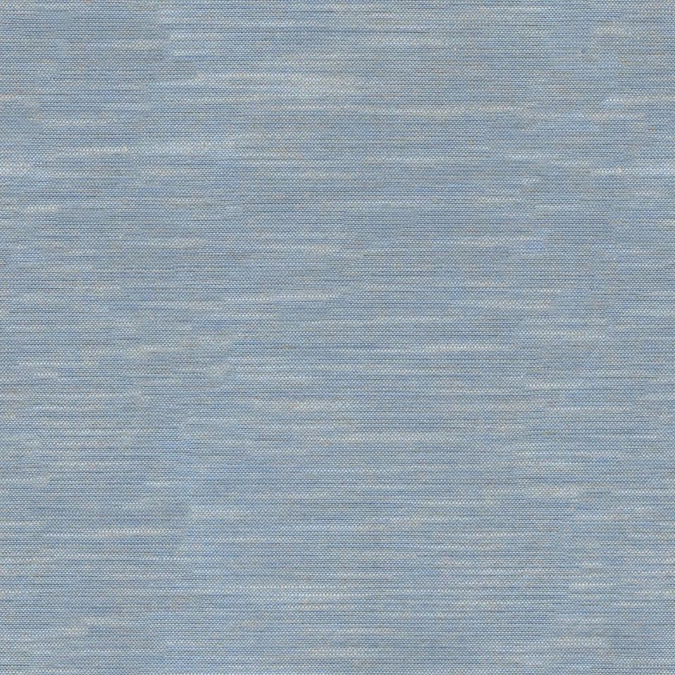 Tetra - tetra_001