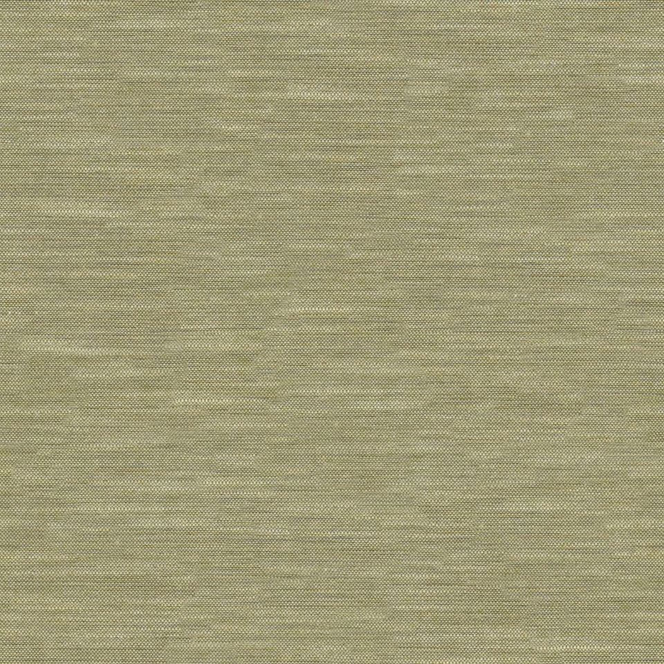 Tetra - tetra_001