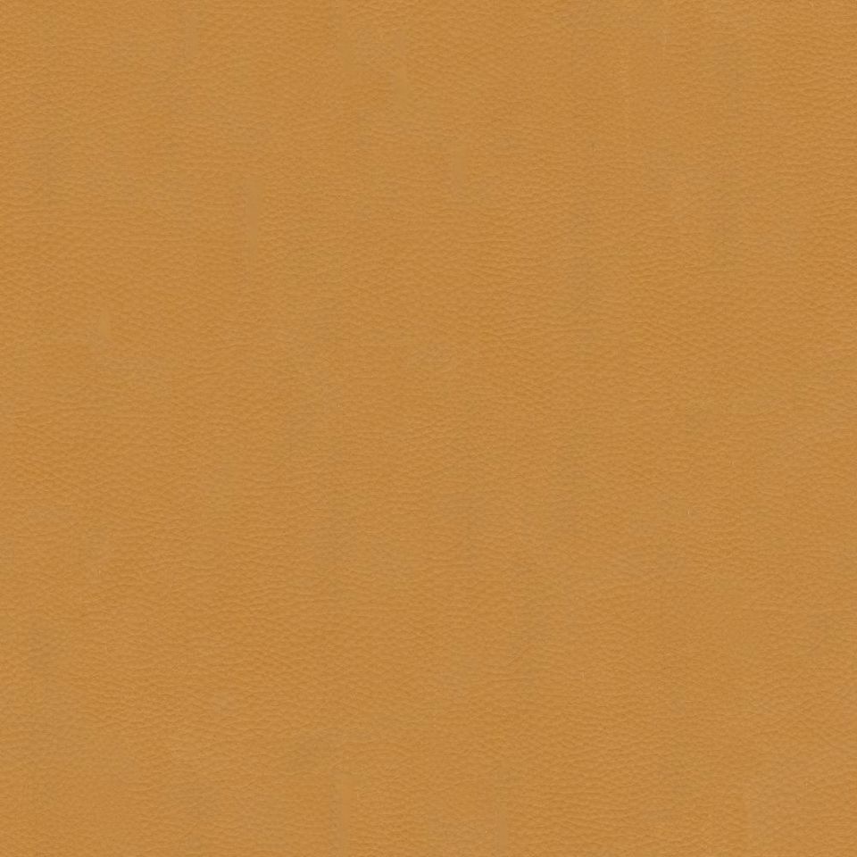 Paros - Pro_001